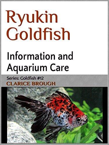 Ryukin Goldfish