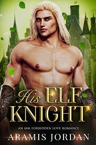 His Elf Knight