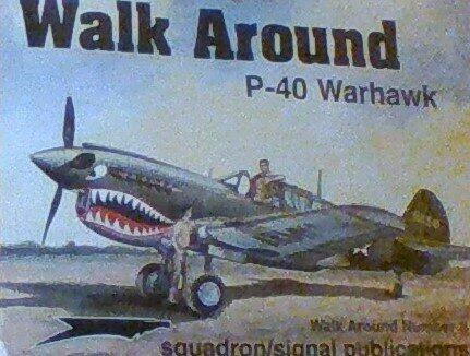 P-40 Warhawk (Walk Around No. 8)