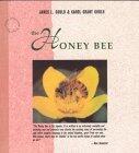 The Honey Bee