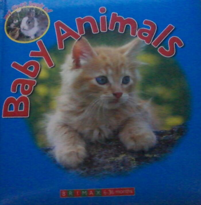 My first Book of Baby Animals