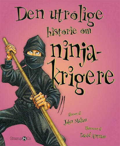 Den utrolige historie om ninjakrigerne