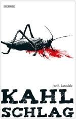 Kahlschlag