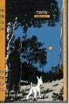 AGENDA TINTIN-2010 [Spanish]