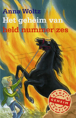 Het geheim van held nummer zes