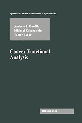 Convex Functional Analysis (Systems & Control: Foundations & Applications)