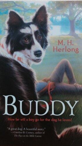 Buddy: How Far Will a Boy Go for the Dog He Loves?
