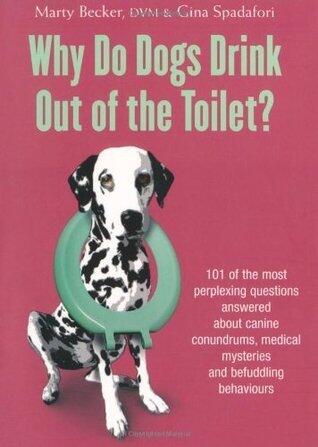 Why Do Dogs Drink Out Of The Toilet?