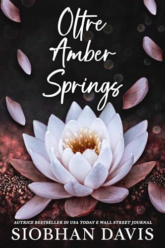 Oltre Amber Springs: Un romance reverse harem contemporaneo