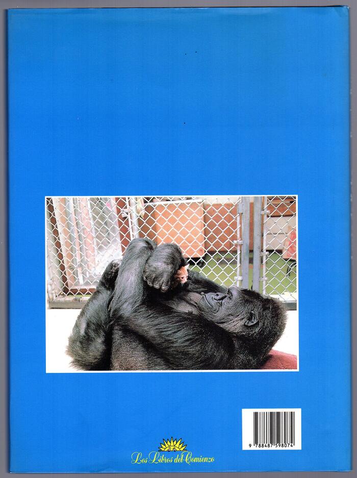 El Gato de Koko
