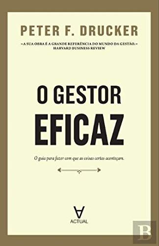 O Gestor Eficaz