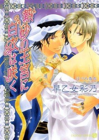 熱砂の王宮に白衣は咲く (シャレード文庫)