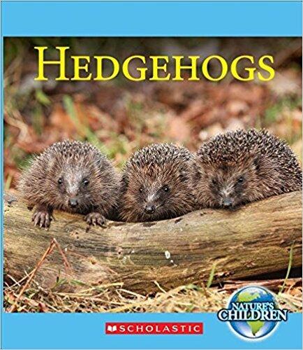 Hedgehogs