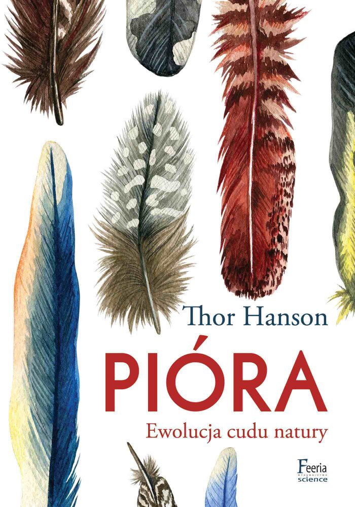 Pióra. Ewolucja cudu natury