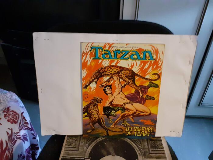 Tarzan #236 DC Comics 1975