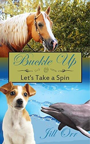 Buckle Up; Let's Take a Spin