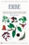 Erbe