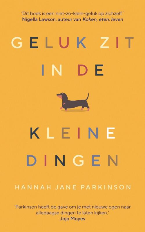 Geluk zit in de kleine dingen
