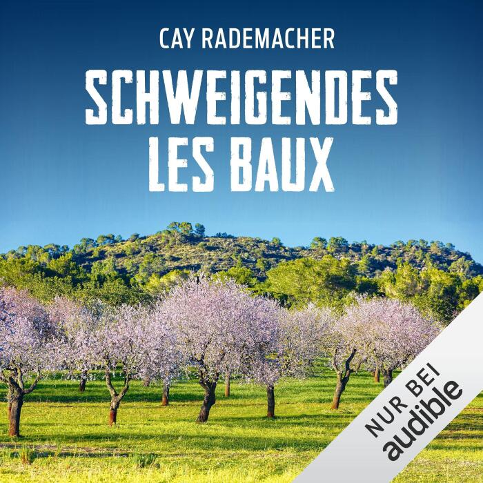Schweigendes Les Baux. Ein Provence-Krimi: Capitaine Roger Blanc 8