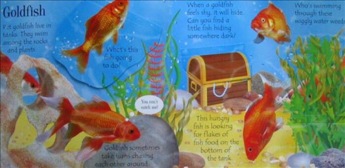 Usborne Lift-the-flap Pets