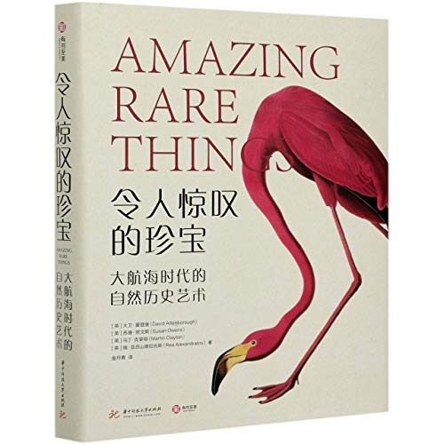 Amazing Rare Things