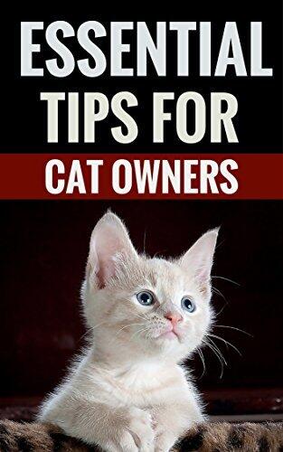 Essential Tips For Cat Owners - For A Great Life With Your Cat