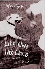Like Wind, Like Wave: Fables from the Land of the Repressed