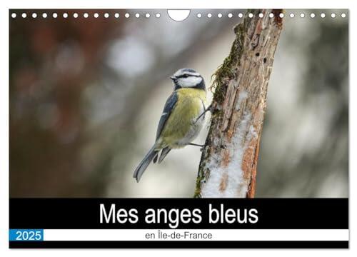 Mes Anges Bleus en Île-de-France: Calendrier Mural 2025 A4 Horizontal