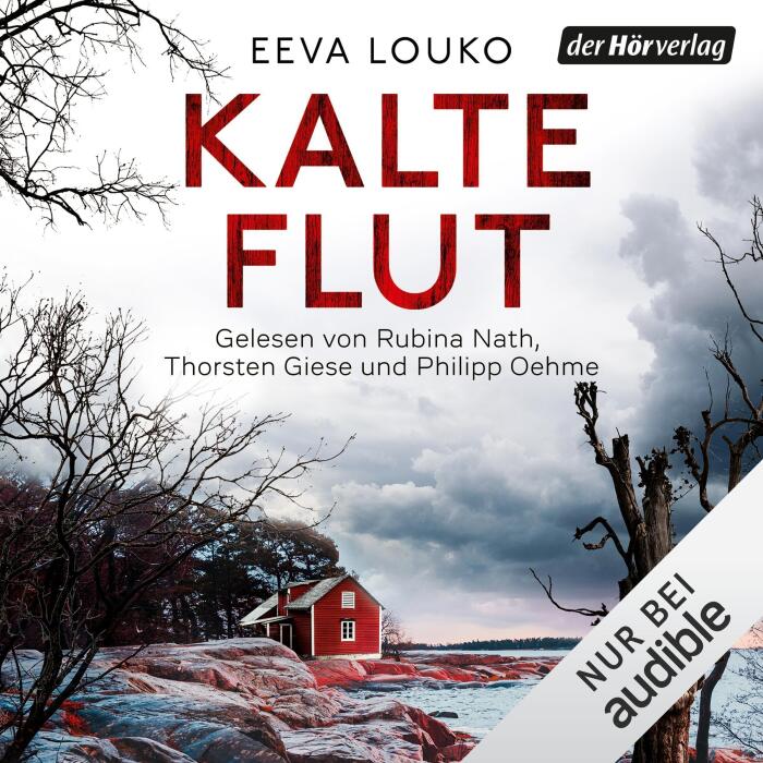 Kalte Flut: Ronja Vaara 1