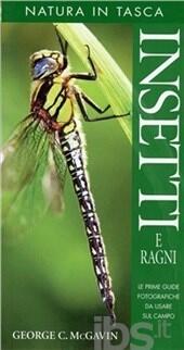 Insetti e ragni