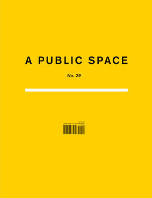 A Public Space no. 29