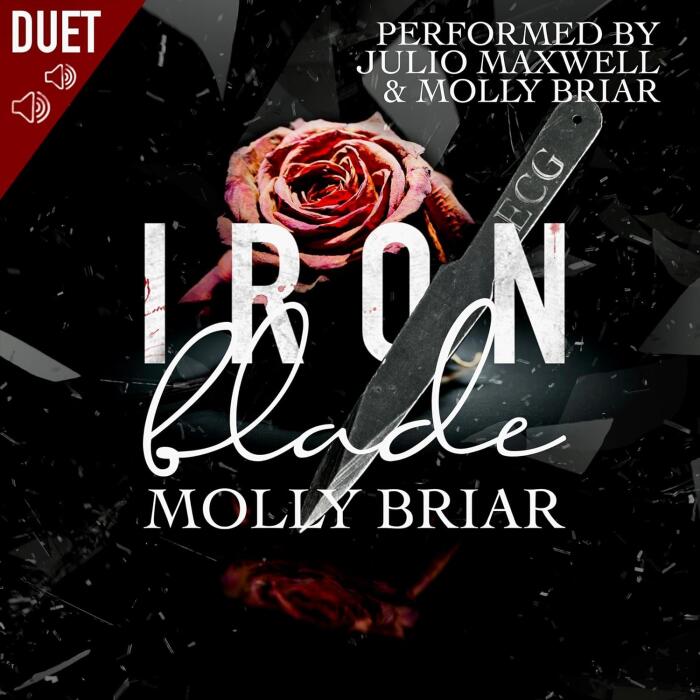 Iron Blade: An Irish Mafia Romance