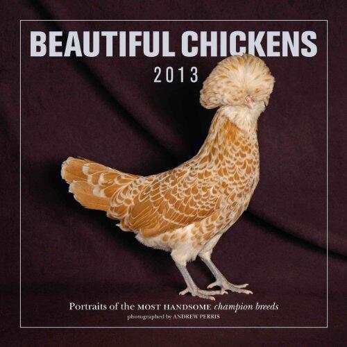 Beautiful Chickens 2013: Portraits of the Most Handsome Champion Breeds