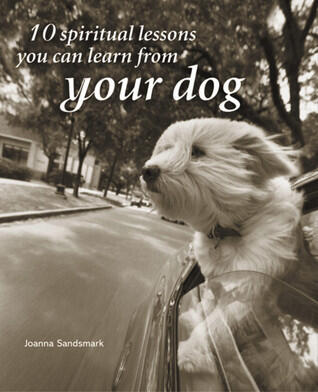 10 Spiritual Lessons You Can Learn from Your Dog