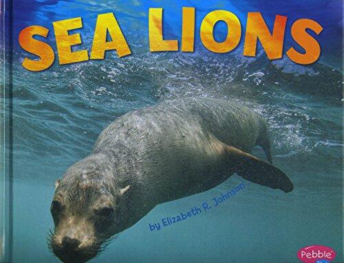 Sea Lions