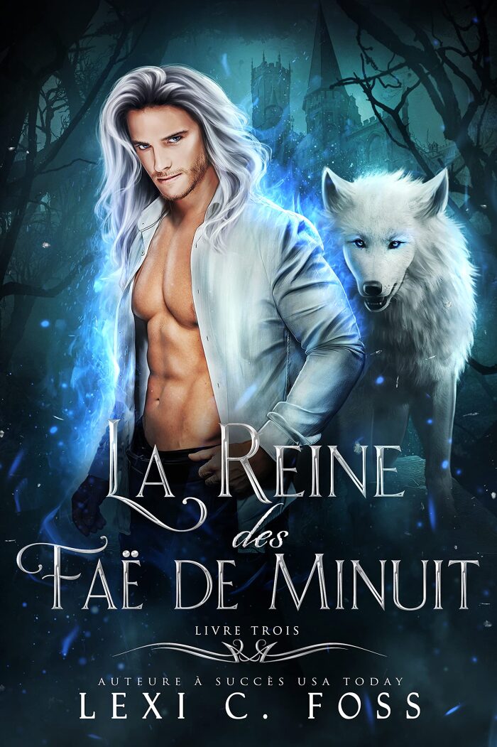 La Reine des faë de minuit: Livre trois