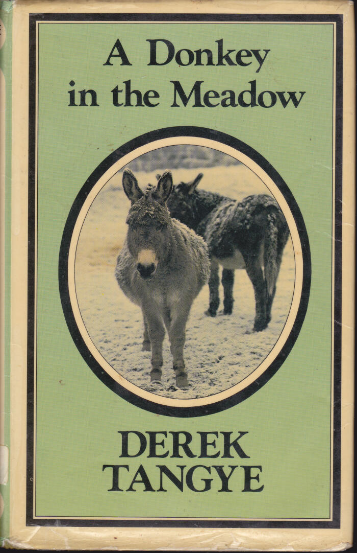 A Donkey in the Meadow