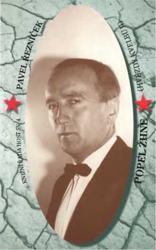 Popel žhne (Knižní řada Host)