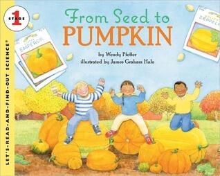 From Seed To Pumpkin