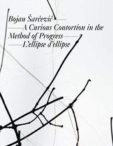 Bojan Sarcevic: A Curious Contortion in the Method of Progress - L'ellipse d'ellipse: Kat. Kunstmuseum Liechtenstein, Institut d'art contemporain Villeurbanne/Rhône-Alpes