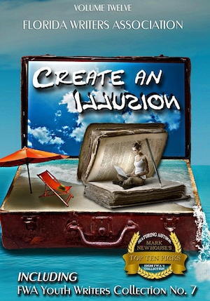 Create an Illusion: Florida Writers Association Collection (Volume 12)