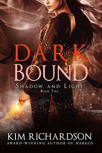 Shadow and Light