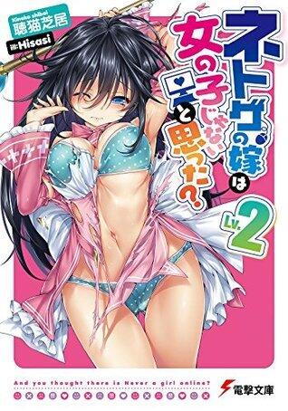 ネトゲの嫁は女の子じゃないと思った? Lv.2 (電撃文庫)