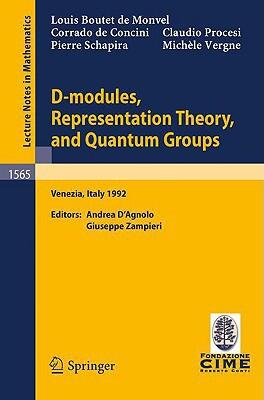 D-Modules, Representation Theory, and Quantum Groups: Lectures Given at the 2nd Session of the Centro Internazionale Matematico Estivo