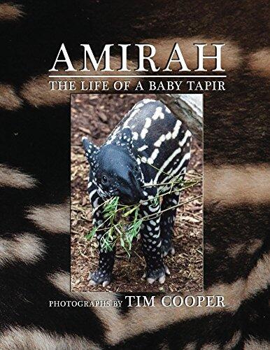 Amirah: The Life of a Baby Tapir