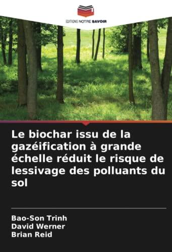 Le biochar issu de la gazéification à grande échelle réduit le risque de lessivage des polluants du sol