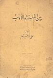بين الفلسفة والأدب