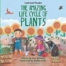 The Amazing Life Cycle