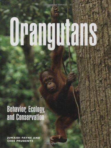 Orangutans: Behavior, Ecology, and Conservation