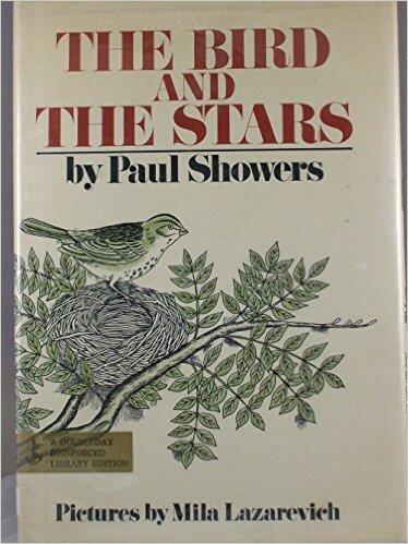 The bird and the stars